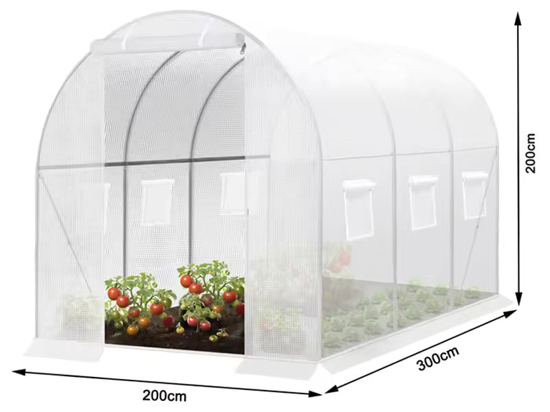 300×200×200cm Polytunnel Greenhouse – Winterproof Foil Greenhouse with Steel Frame, Door & 6 Windows