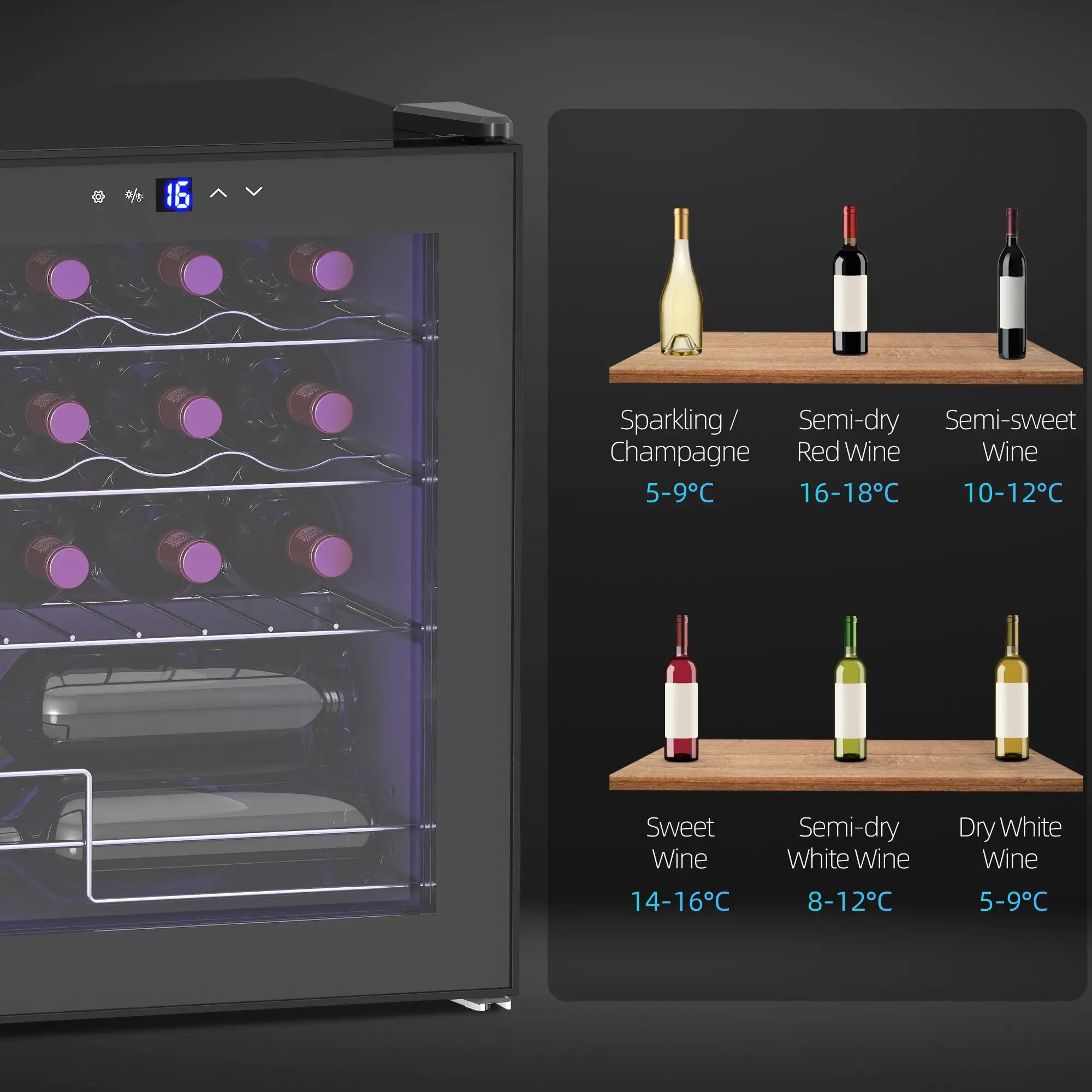 16-Bottle Wine Cooler Fridge 42L – Freestanding Wine Chiller with Touch Control & Adjustable Temperature, Black